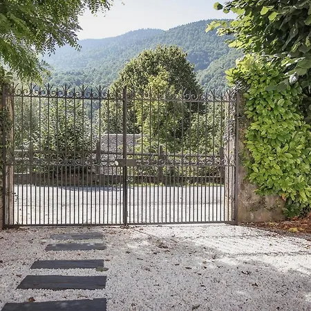 Pyrénées - Grand De Caractère