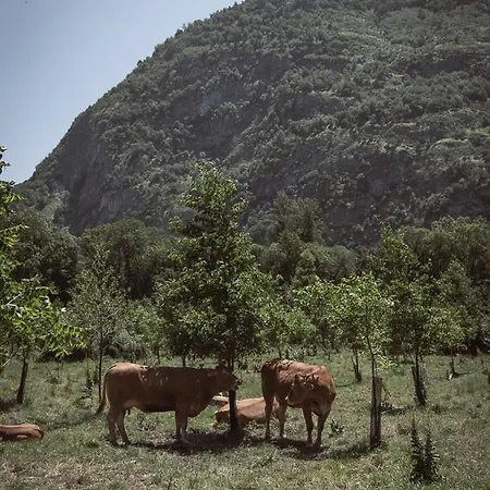 Pyrenees - Grand De Caractere Σπίτι διακοπών *