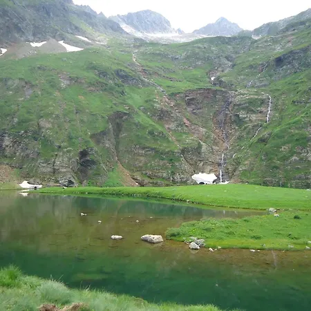 Pyrénées - Grand De Caractère * Boutx