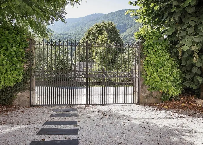 Pyrénées - Grand De Caractère