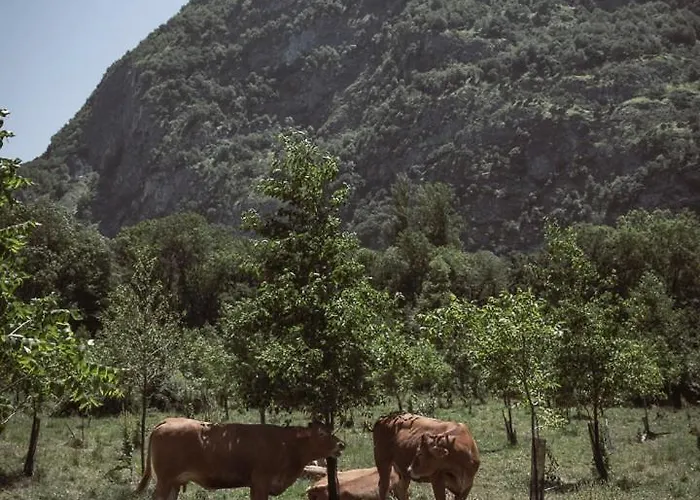 Pyrénées - Grand De Caractère Casa vacanze *