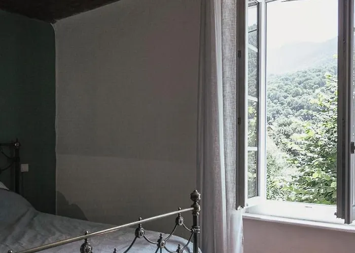 Pyrénées - Grand De Caractère *