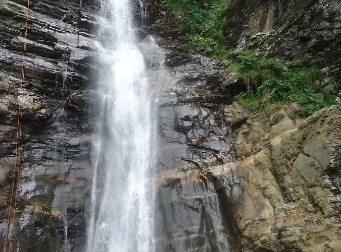 Pyrénées - Grand De Caractère * Boutx