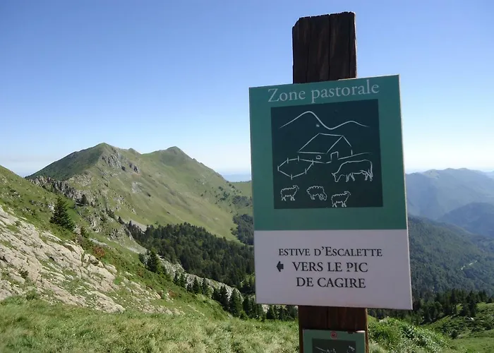 Pyrénées - Grand De Caractère * Boutx