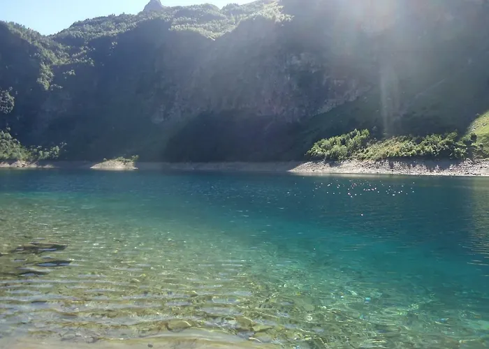 Pyrénées - Grand De Caractère *