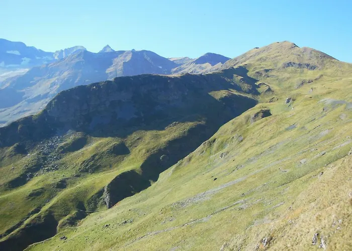 Pyrénées - Grand De Caractère *