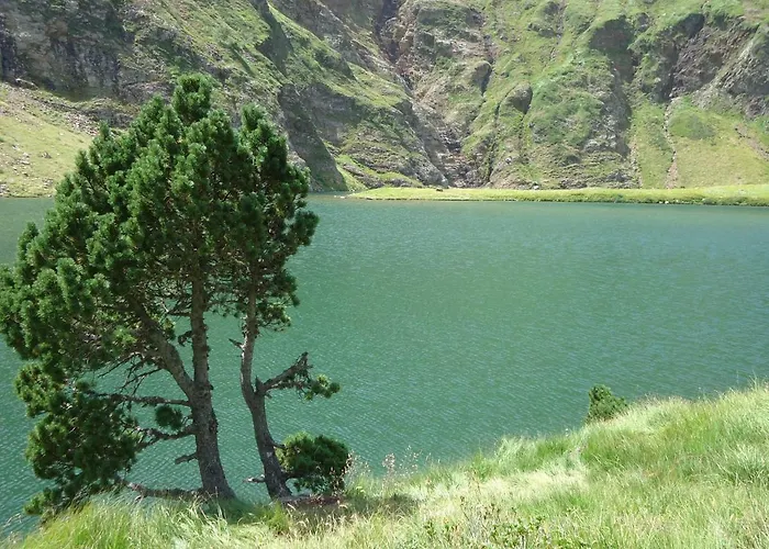 Pyrénées - Grand De Caractère