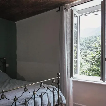 Pyrenees - Grand De Caractere *