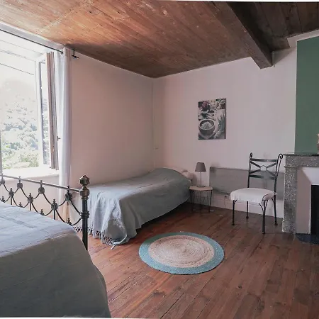 Pyrenees - Grand De Caractere * Boutx