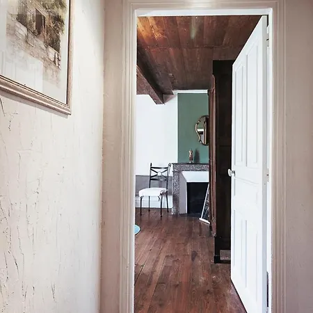 Pyrenees - Grand De Caractere