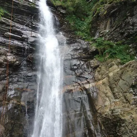 Pyrenees - Grand De Caractere * Boutx