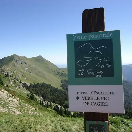 Pyrenees - Grand De Caractere * Boutx