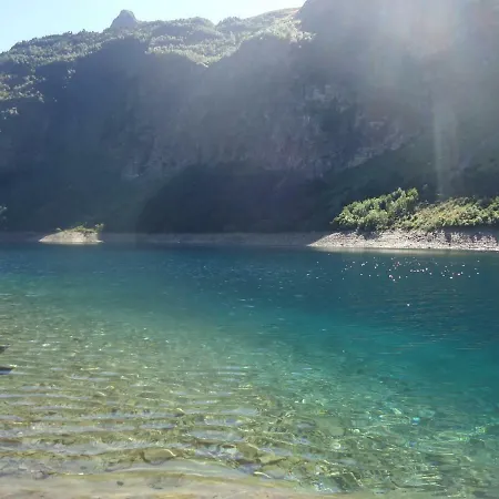 Pyrenees - Grand De Caractere *