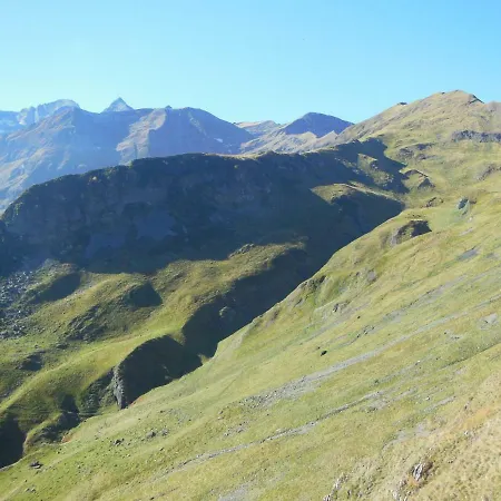 Pyrenees - Grand De Caractere *