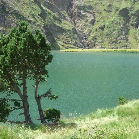 Pyrenees - Grand De Caractere